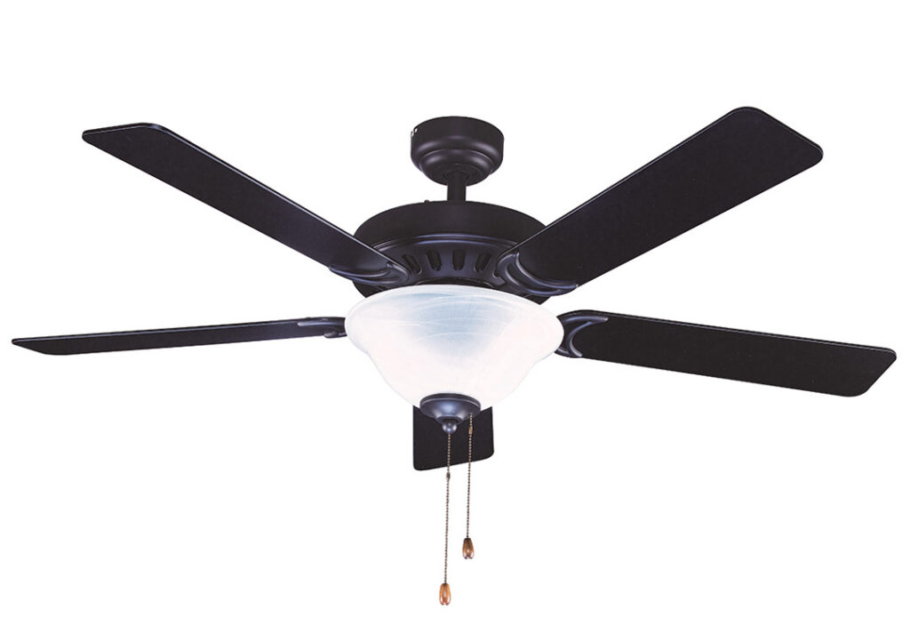 Black ceiling fan & light
